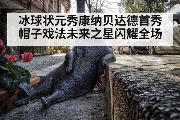 冰球状元秀康纳贝达德首秀帽子戏法未来之星闪耀全场